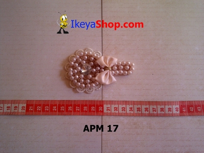APM 17  large2